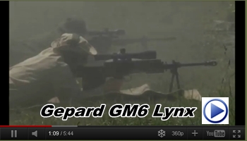 Gepard GM6 Lynx - Interview 2011 - hungarian 