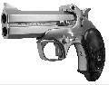 Bond Arms Texas Defender 44 Special